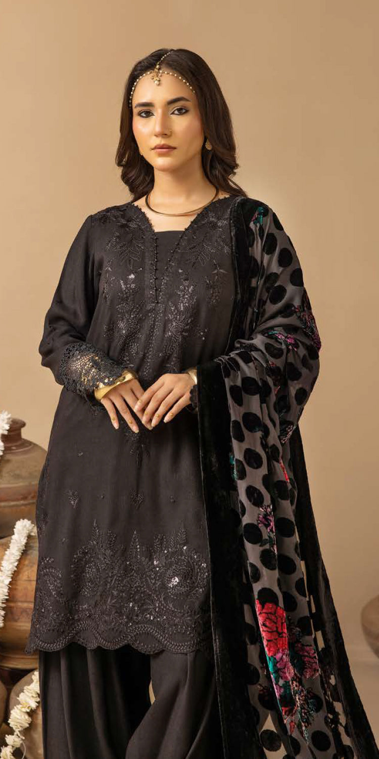 Riaz Arts | Dastaan Winter 25 | DS-19
