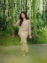 Ain | Twilight The Velvet Edit | AN-186 by Ain - Designer Dress  - Type : Ladies Clothes - Available at Libayah - 100% Original 