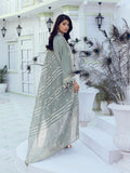 Salitex | Signature Festive Chiffon | SUNW6NO010UT by Salitex - Designer Dress - Type: Ladies Clothes - Available at Libayah - 100% Original