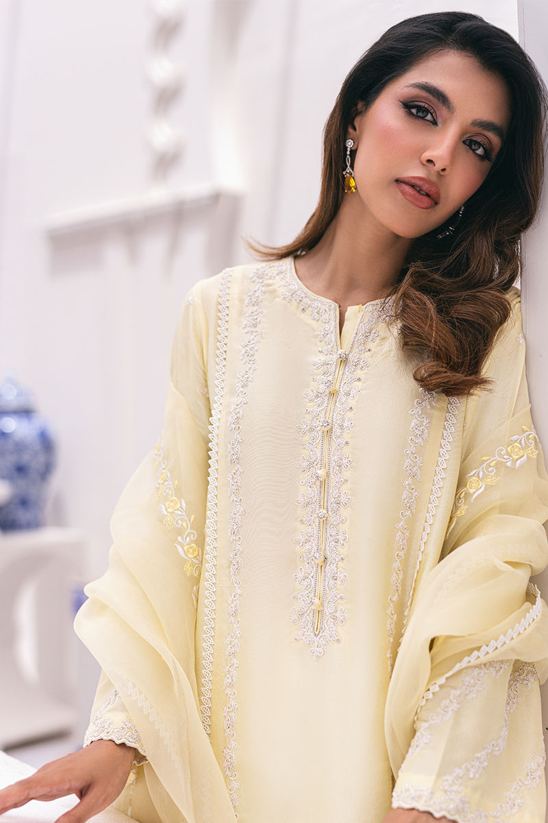 Ansab Jahangir | Luxe Pret Signature | BANEEN by Ansab Jahangir - Designer Dress - Type: Luxury - Available at Libayah - 100% Original