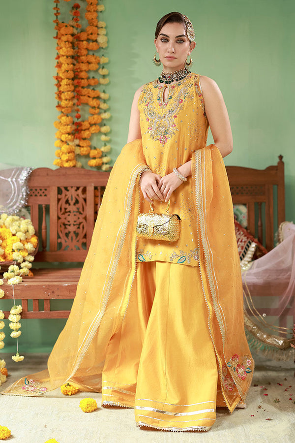 Ansab Jahangir | The Rani Edit | Arooba by Ansab Jahangir - Designer Dress  - Type : Ladies Clothes - Available at Libayah - 100% Original 