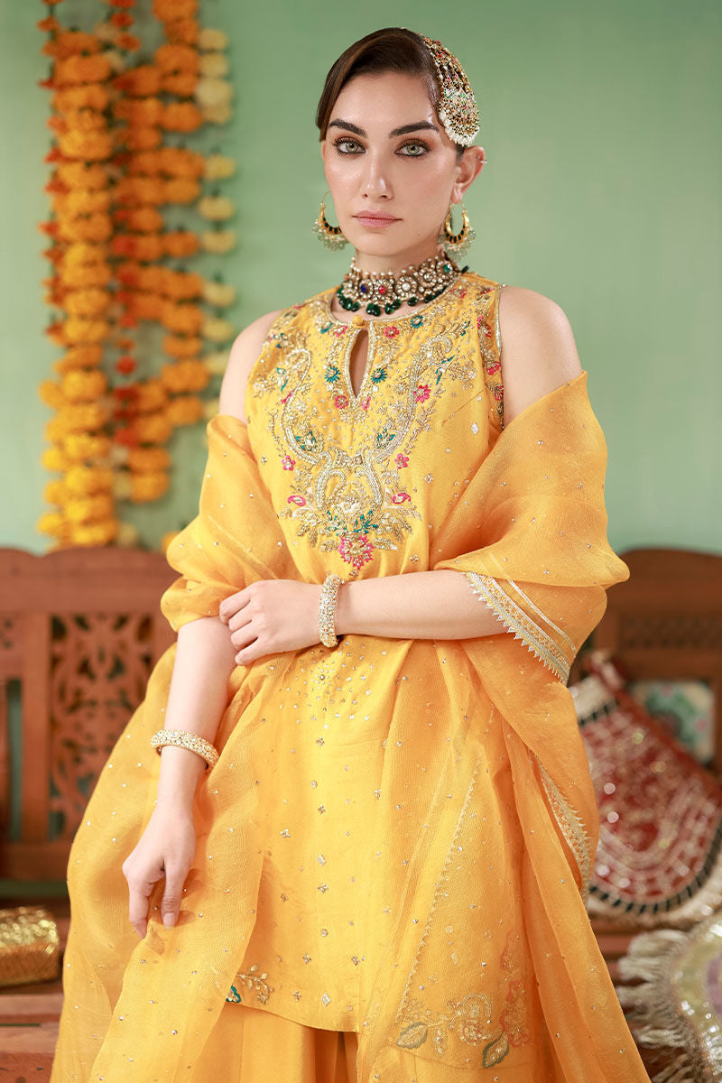 Ansab Jahangir | The Rani Edit | Arooba by Ansab Jahangir - Designer Dress  - Type : Ladies Clothes - Available at Libayah - 100% Original 