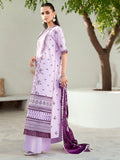 Bin Ilyas | Riwaayst Spring Summer 24 | 303-A by Bin Ilyas - Designer Dress - Type: Ladies Clothes - Available at Libayah - 100% Original