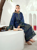 Bin Ilyas | Diara Winter 24 | 302-A by Bin Ilyas - Designer Dress - Type: Ladies Clothes - Available at Libayah - 100% Original