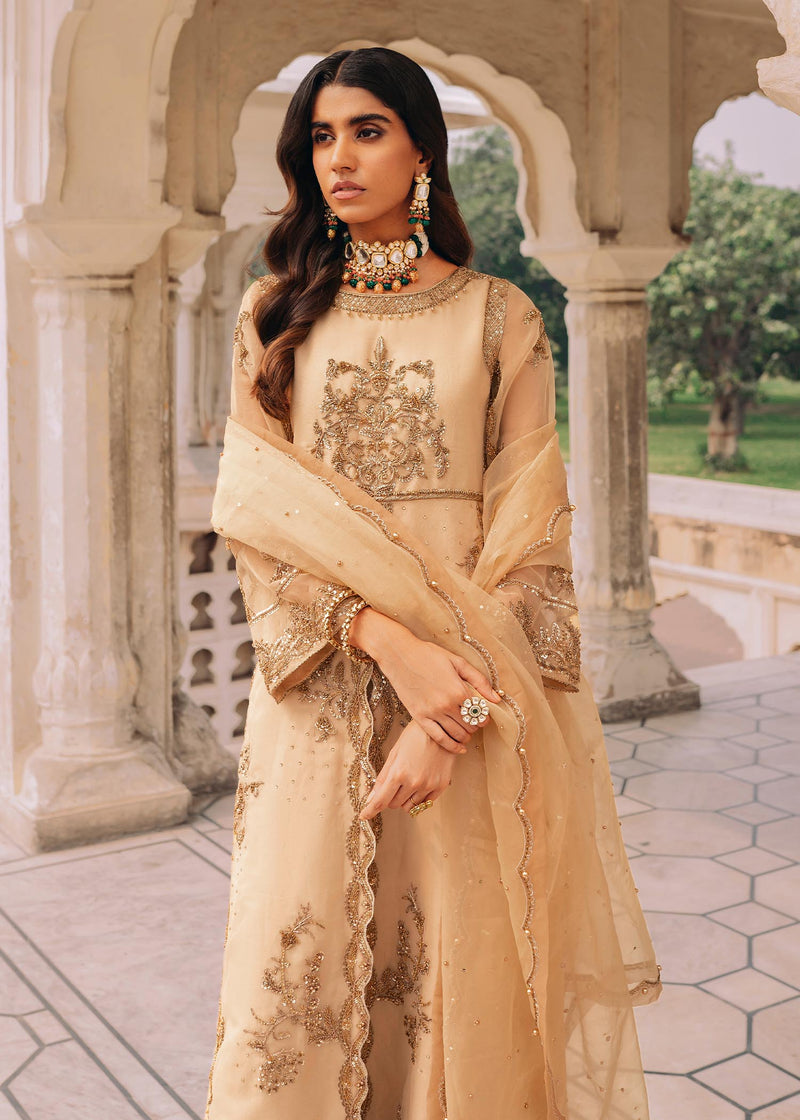 Shurooq | Arjumand Bano Formals | Noor Jahan by Shurooq - Designer Dress - Type: Ladies Clothes - Available at Libayah - 100% Original