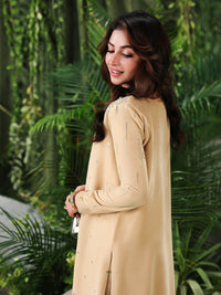 Ain | Twilight The Velvet Edit | AN-185 by Ain - Designer Dress  - Type : Ladies Clothes - Available at Libayah - 100% Original 