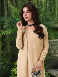Ain | Twilight The Velvet Edit | AN-185 by Ain - Designer Dress  - Type : Ladies Clothes - Available at Libayah - 100% Original 