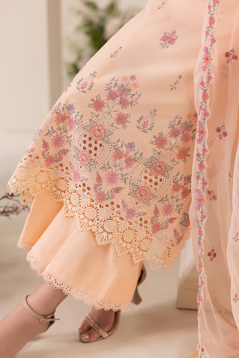 Rajbari | Premium Edition | Embroidered Chiffon Dopatta 04 - by Libayah - Registered Vendor of : Rajbari - 100% Original Designer Dress