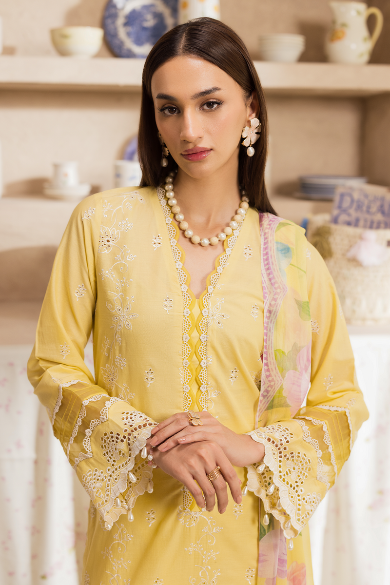 Rajbari | Nissa Chikankari Exclusive | Exclusive 03 - by Libayah - Registered Vendor of : Rajbari - 100% Original Designer Dress