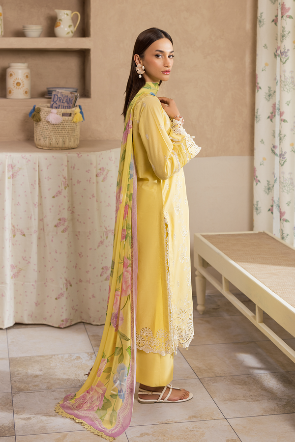 Rajbari | Nissa Chikankari Exclusive | Exclusive 03 - by Libayah - Registered Vendor of : Rajbari - 100% Original Designer Dress