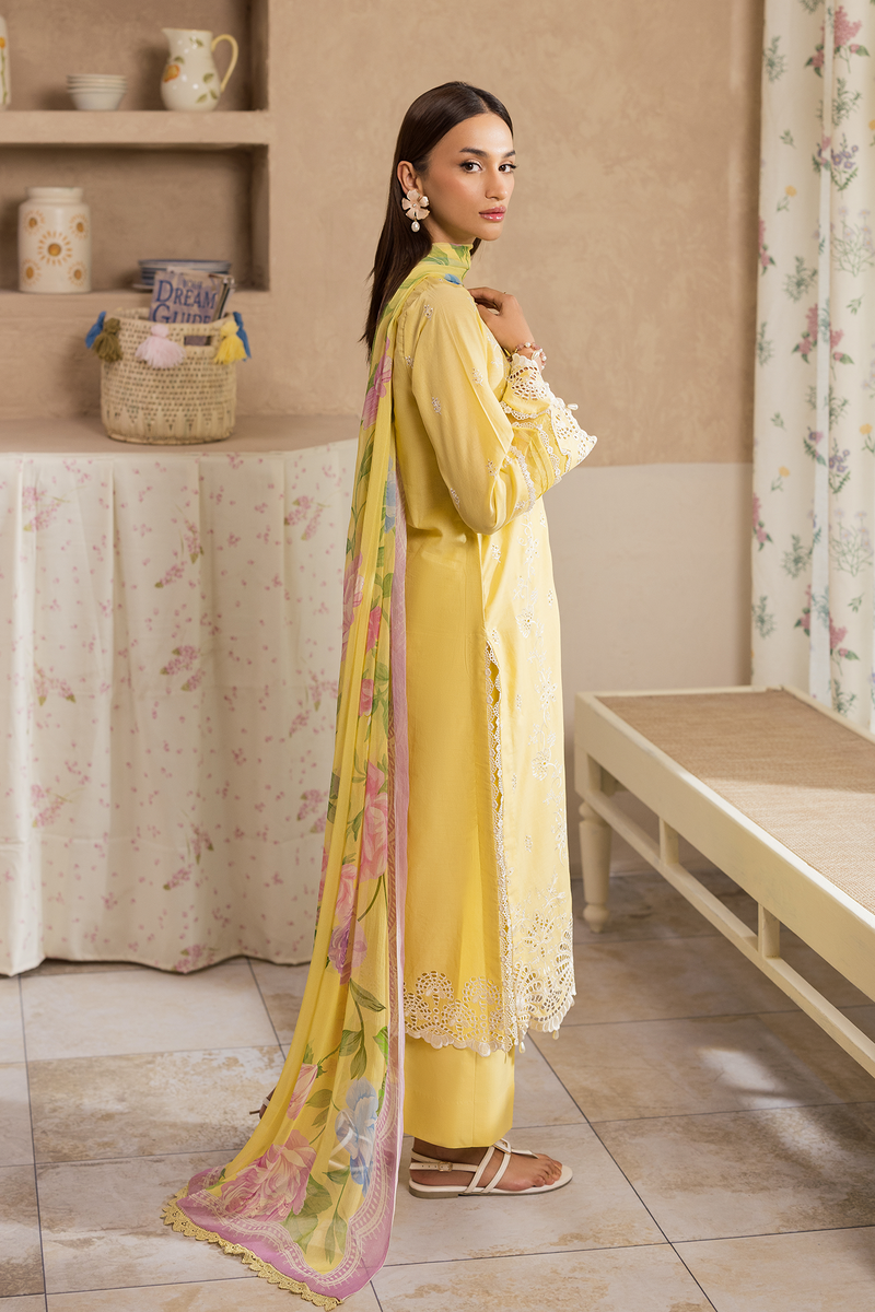 Rajbari | Nissa Chikankari Exclusive | Exclusive 03 - by Libayah - Registered Vendor of : Rajbari - 100% Original Designer Dress