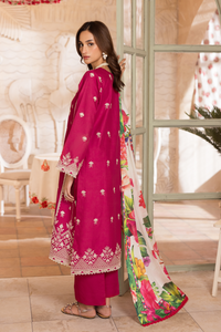 Rajbari | Nissa Chikankari Exclusive |Exclusive 09 - by Libayah - Registered Vendor of : Rajbari - 100% Original Designer Dress