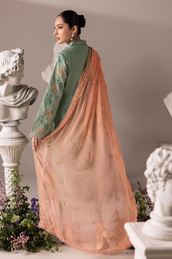 Rajbari | Premium Edition | Embroidered Chiffon Dopatta 06 - by Libayah - Registered Vendor of : Rajbari - 100% Original Designer Dress