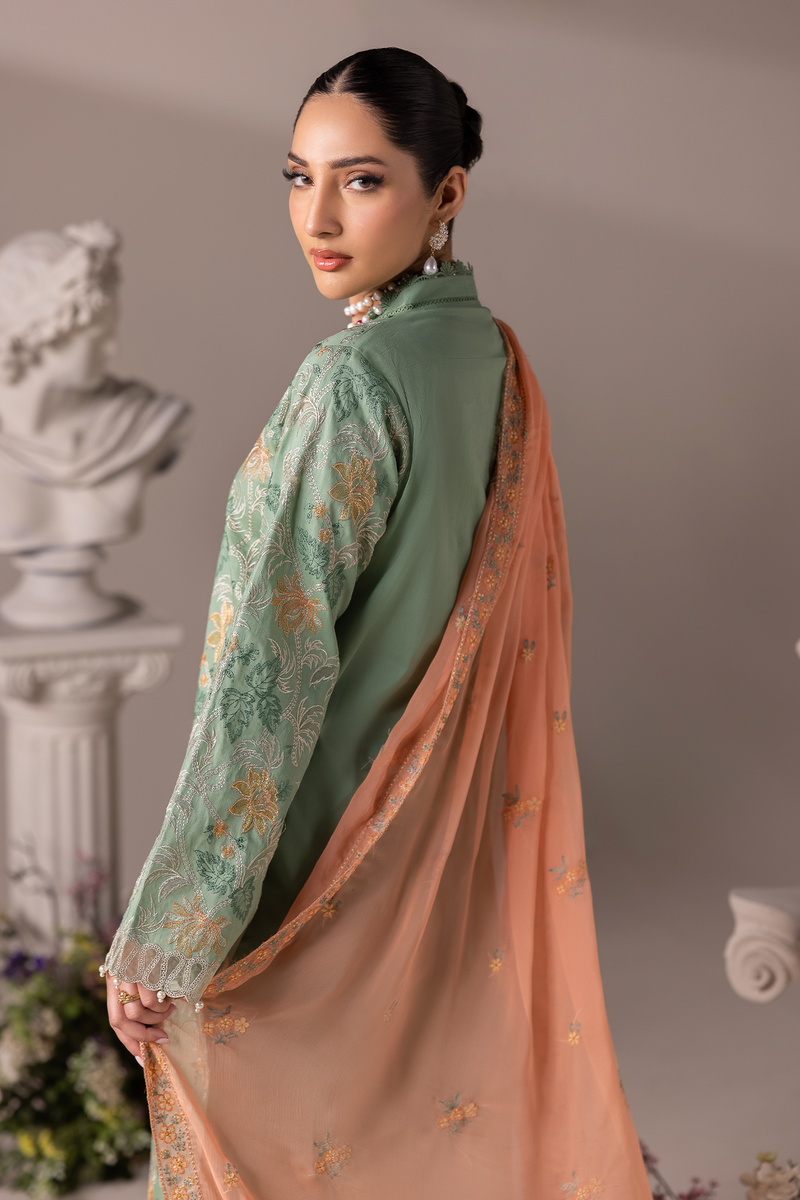 Rajbari | Premium Edition | Embroidered Chiffon Dopatta 06 - by Libayah - Registered Vendor of : Rajbari - 100% Original Designer Dress