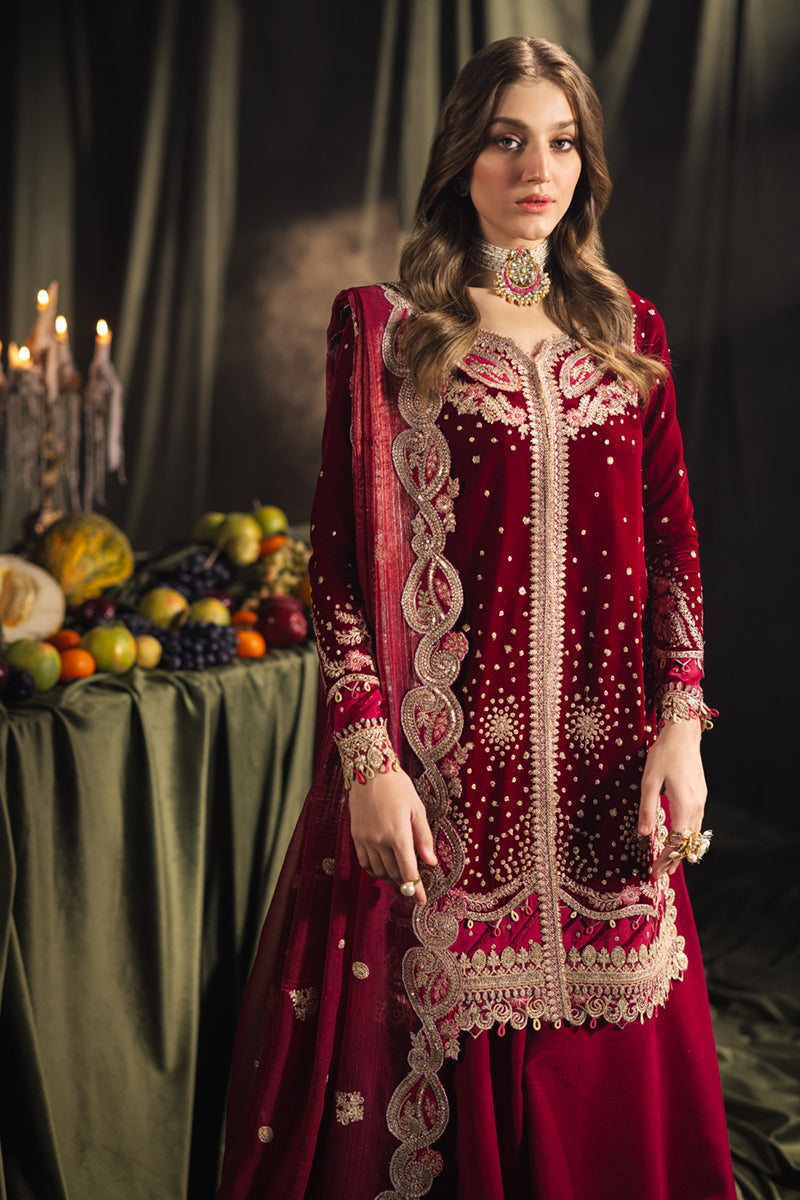 Qalamkar | Velvet Edit | BK-02 AMARA by Qalamkar - Designer Dress - Type: Ladies Clothes - Available at Libayah - 100% Original