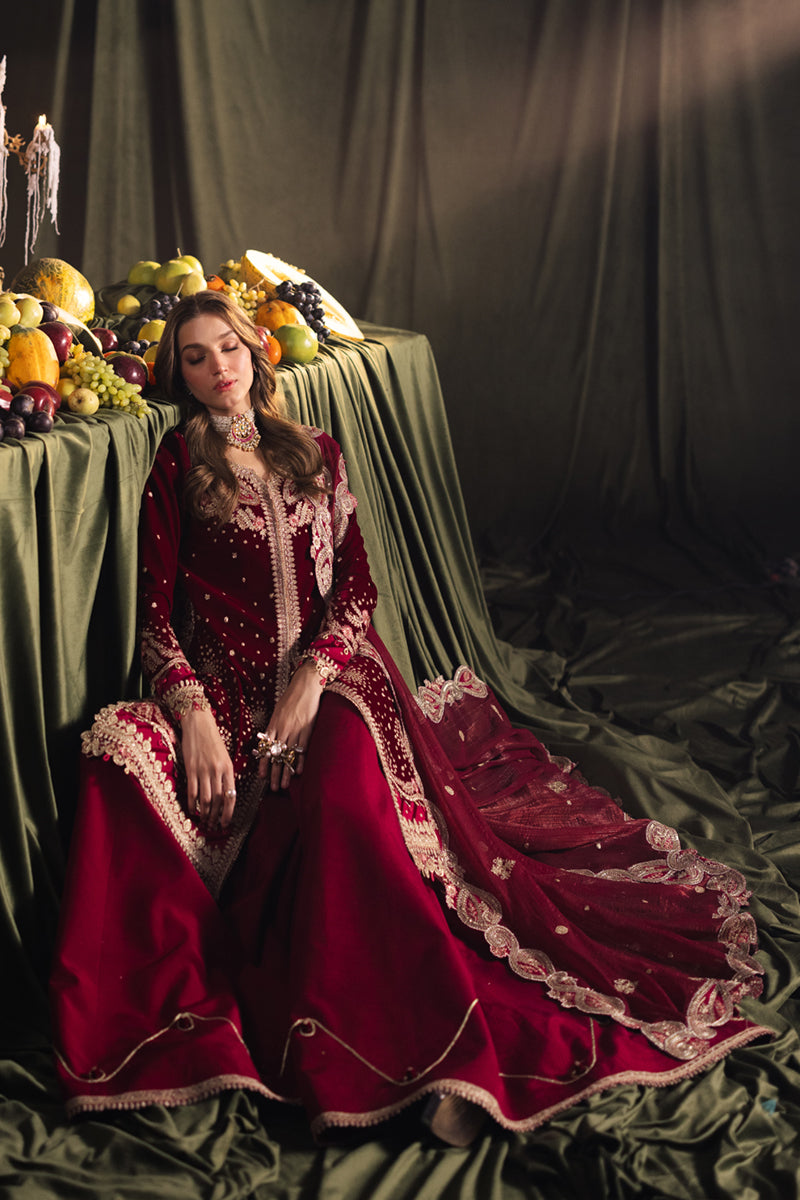 Qalamkar | Velvet Edit | BK-02 AMARA by Qalamkar - Designer Dress - Type: Ladies Clothes - Available at Libayah - 100% Original