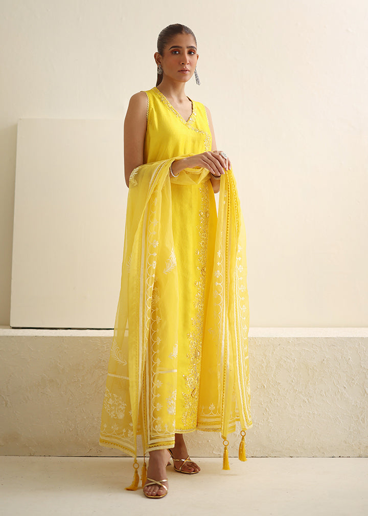 Umsha | Luxury Pret | SPICY SUNLIGHT by Umsha - Designer Dress - Type: Ladies Clothes - Available at Libayah - 100% Original