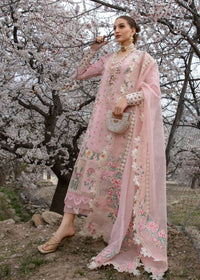 Crimson | Lawn 2024 | Believe In Her - Blush Pink by Crimson - Designer Dress - Type: Ladies Clothes - Available at Libayah - 100% Original