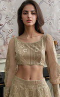 Threads and Motifs | Formal Dresses 25 | Organza Embroidered Blouse And Embroidered Lehenga by Threads and Motifs - Designer Dress  - Type : Ladies Clothes - Available at Libayah - 100% Original 
