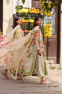 Afrozeh | Basic Pret 26 RTW | NACRE by Afrozeh - Designer Dress  - Type : Ladies Clothes - Available at Libayah - 100% Original 