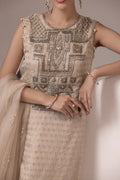 Malook | Mahrosh Luxury Formals | ANEESA by Malook - Designer Dress - Type: Ladies Clothes - Available at Libayah - 100% Original