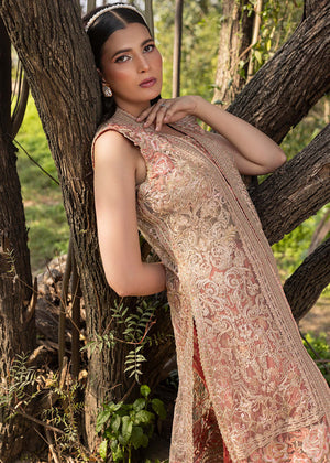HSY | Summer Edit | Peach Terracotta by HSY - Designer Dress  - Type : Ladies Clothes - Available at Libayah - 100% Original 