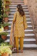 Afrozeh | Damask The Holiday Edit 25 | Lorien B by Afrozeh - Designer Dress - Type: Ladies Clothes - Available at Libayah - 100% Original