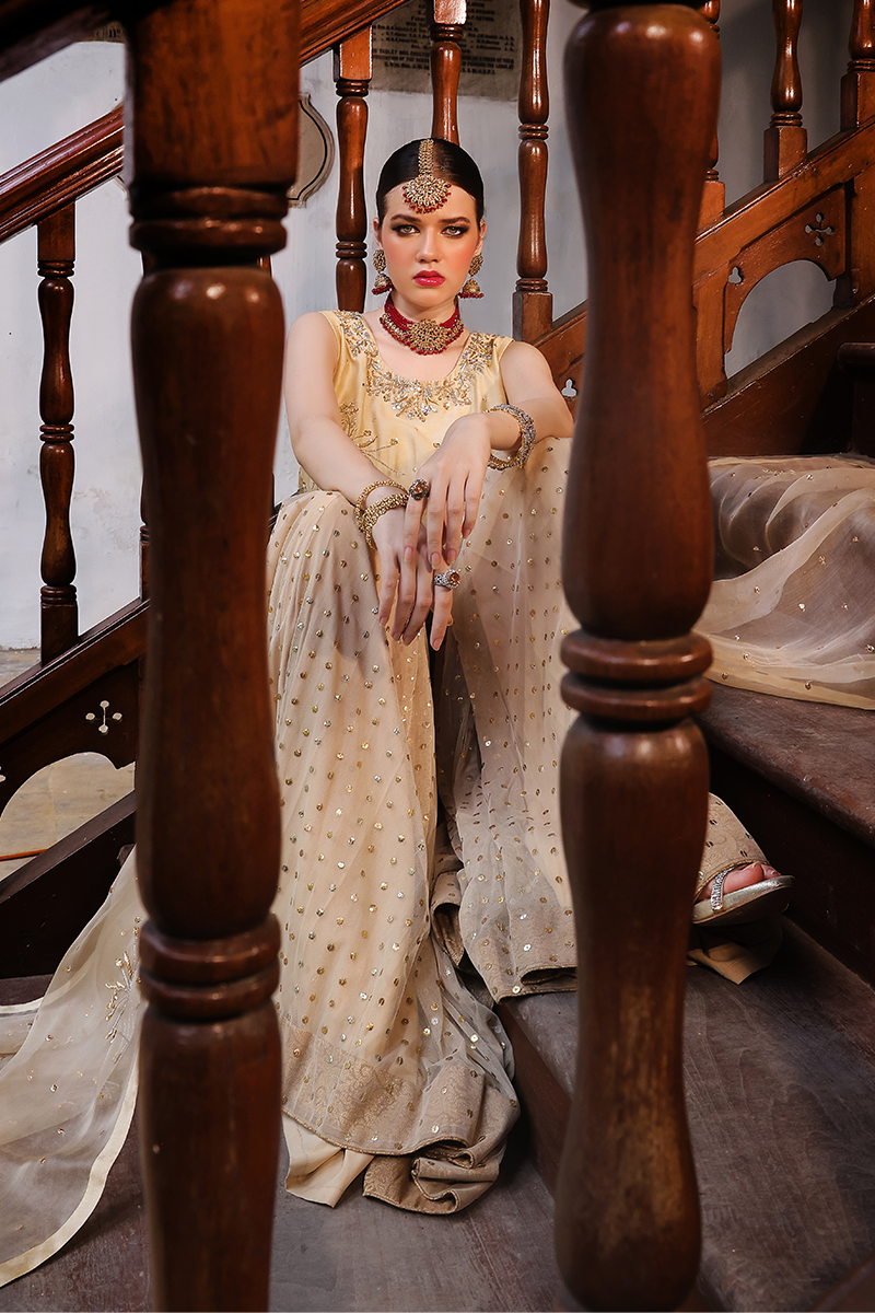 Mona Imran | Dilzaib Formals | Seerat by Mona Imran - Designer Dress - Type: Ladies Clothes - Available at Libayah - 100% Original