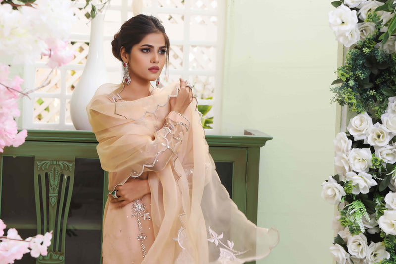 Wahajmkhan | Sitara Formals | NUDE PEACH ORGANZA OUTFIT by Wahaj M.Khan - Designer Dress - Type: Ladies Clothes - Available at Libayah - 100% Original