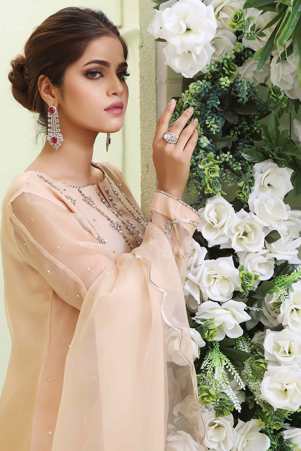 Wahajmkhan | Sitara Formals | NUDE PEACH ORGANZA OUTFIT by Wahaj M.Khan - Designer Dress - Type: Ladies Clothes - Available at Libayah - 100% Original