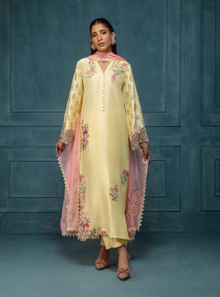 Vaani – authentic Pakistani formal dress from the Zainab Chottani Luxe Edit 25 collection for women in the UK
