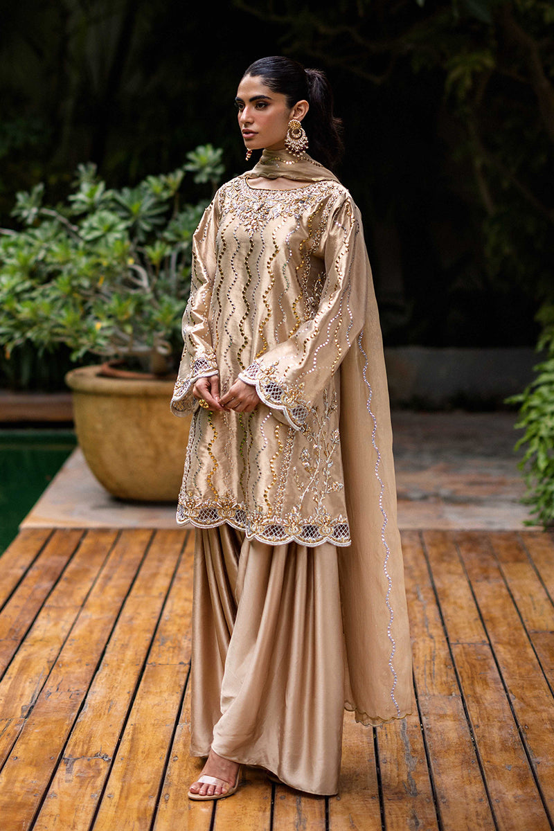 Sana Abbas | Wedding Formals | Mesaam by Sana Abbas - Designer Dress - Type: Ladies Clothes - Available at Libayah - 100% Original