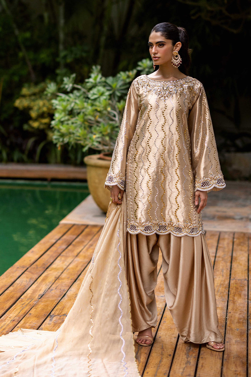 Sana Abbas | Wedding Formals | Mesaam by Sana Abbas - Designer Dress - Type: Ladies Clothes - Available at Libayah - 100% Original
