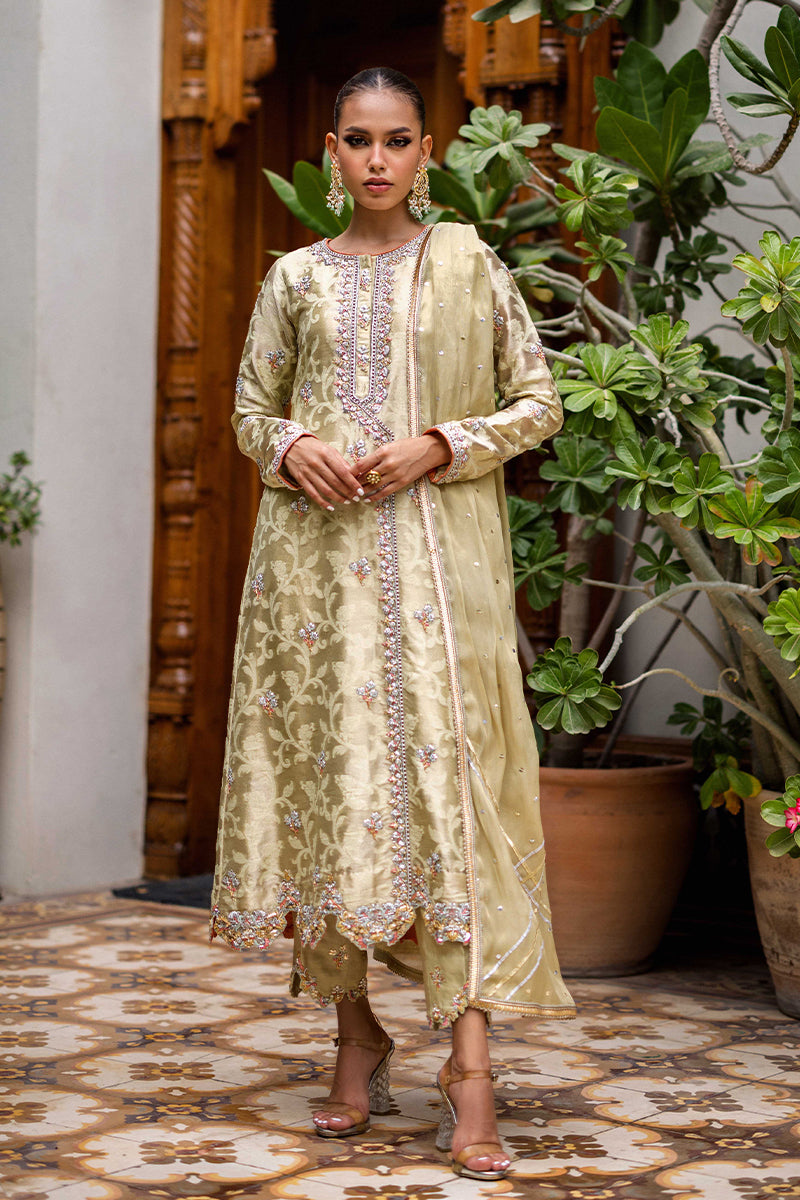 Sana Abbas | Wedding Formals | Mesaam by Sana Abbas - Designer Dress - Type: Ladies Clothes - Available at Libayah - 100% Original