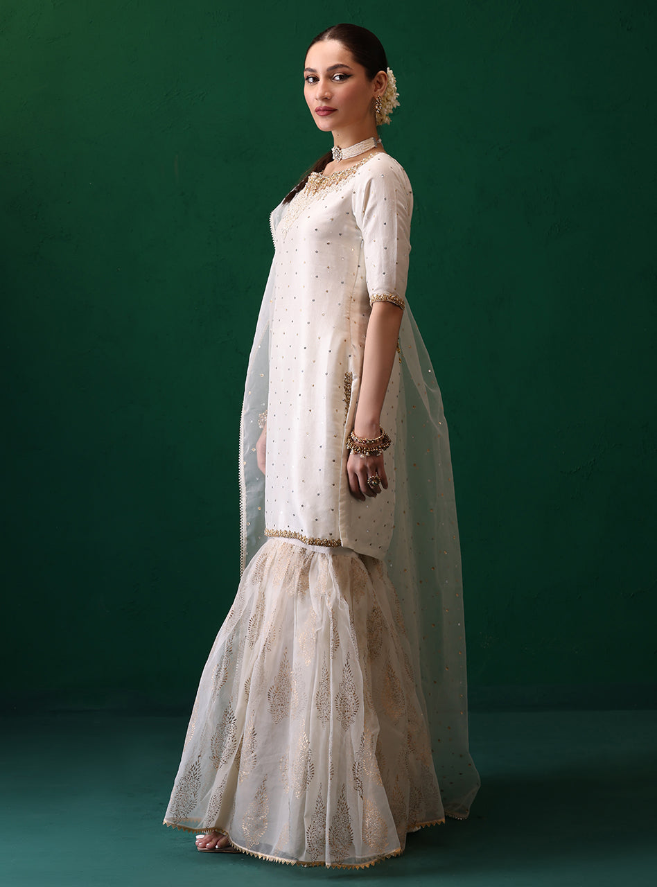 Zainab Chottani | Semi Formals | MEERAZ by Zainab Chottani - Designer Dress - Type: Ladies Clothes - Available at Libayah - 100% Original