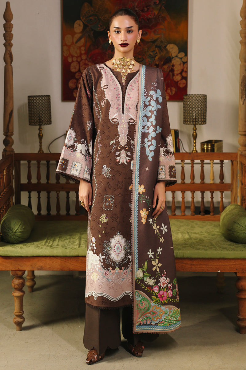 QW-09 (B) RABELLA – authentic Pakistani dress from the Qalamkar QPrints Winter 25 collection for women in the UK