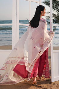 Qalamkar | Sahil Luxury Lawn 26 | SA-13 TARA by Qalamkar - Designer Dress  - Type : Ladies Clothes - Available at Libayah - 100% Original 