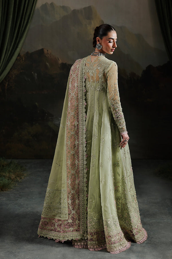 Qalamkar | Elirah Formals 25 | MF-02 SAGE AURA by Qalamkar - Designer Dress  - Type : Ladies Clothes - Available at Libayah - 100% Original 