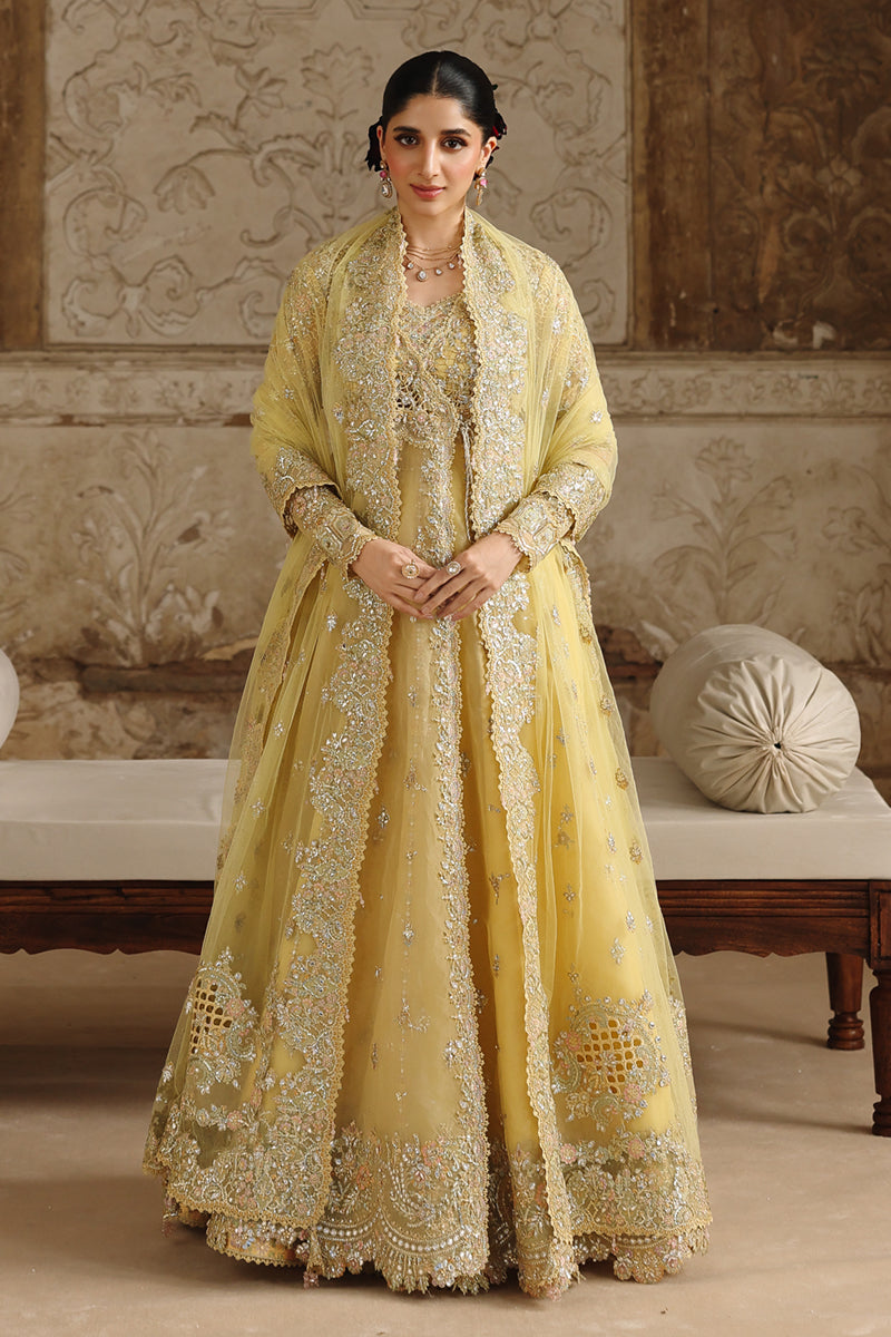 Qalamkar | Shadmaani Formals 25 | RH-06 HOOR by Qalamkar - Designer Dress - Type : Ladies Clothes - Available at Libayah - 100% Original 