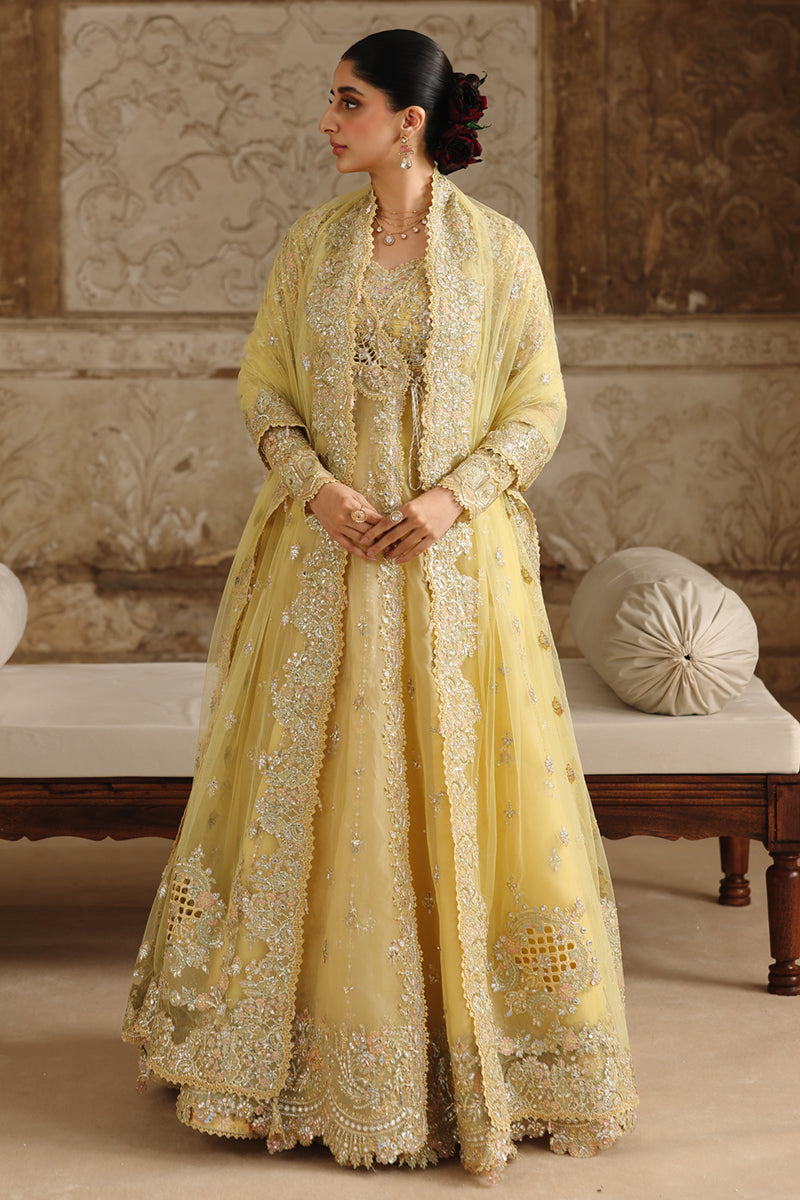 Qalamkar | Shadmaani Formals 25 | RH-06 HOOR by Qalamkar - Designer Dress - Type : Ladies Clothes - Available at Libayah - 100% Original 