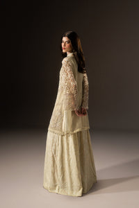 Naqshi | Poetique Party Wears | Varena by Naqshi - Designer Dress  - Type : Ladies Clothes - Available at Libayah - 100% Original 