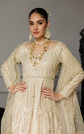 Threads and Motifs | Formal Dresses 25 | Net Embroidered Maxi by Threads and Motifs - Designer Dress  - Type : Ladies Clothes - Available at Libayah - 100% Original 