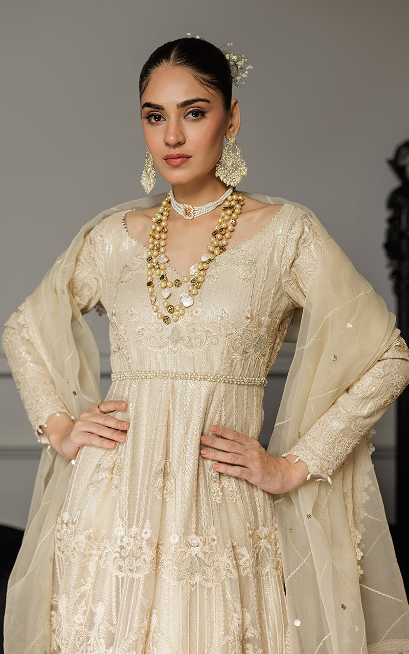 Threads and Motifs | Formal Dresses 25 | Net Embroidered Maxi by Threads and Motifs - Designer Dress  - Type : Ladies Clothes - Available at Libayah - 100% Original 