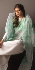 Erum Khan | Beyond Basic | VIVID ELEGANCE by Erum Khan - Designer Dress - Type: Ladies Clothes - Available at Libayah - 100% Original
