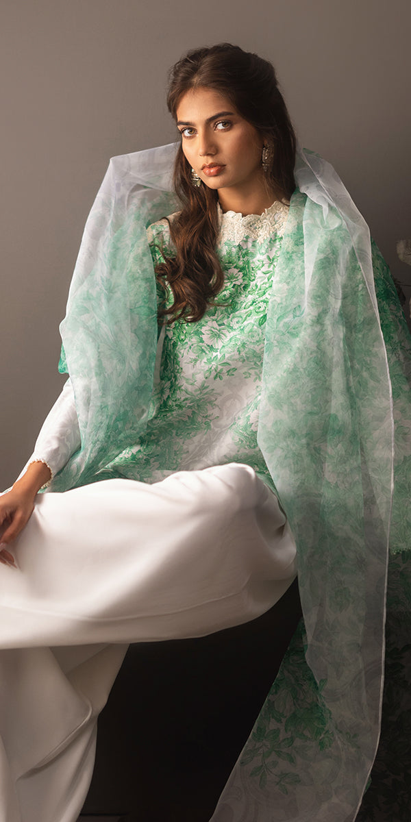 Erum Khan | Beyond Basic | VIVID ELEGANCE by Erum Khan - Designer Dress - Type: Ladies Clothes - Available at Libayah - 100% Original