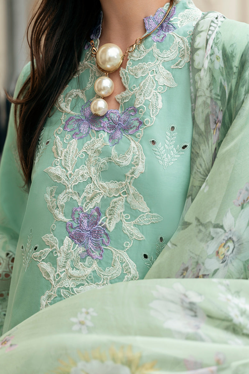 Mushq | Hemline Odyssey | BRISTOL BEAUTY