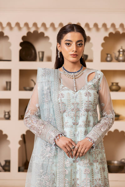 House of Nawab | Luxury Formals | TABSIRA by House of Nawab - Designer Dress - Type: Ladies Clothes - Available at Libayah - 100% Original