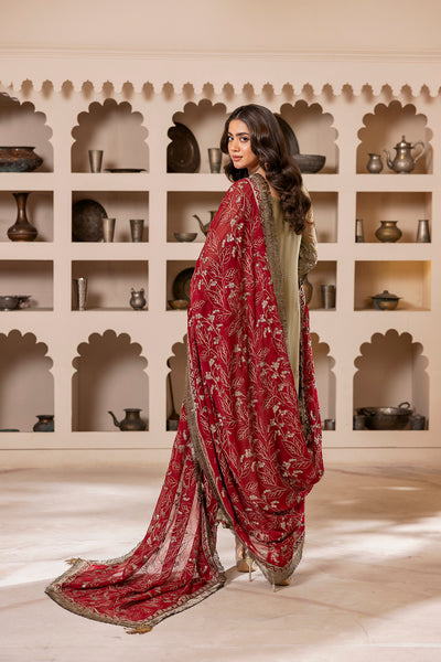 House of Nawab | Luxury Formals | ZEBA by House of Nawab - Designer Dress - Type: Ladies Clothes - Available at Libayah - 100% Original