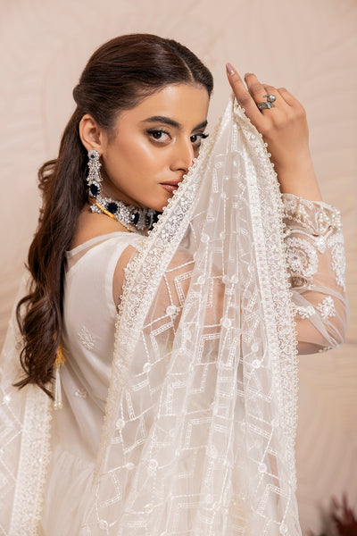 House of Nawab | Luxury Formals | TAROOB by House of Nawab - Designer Dress - Type: Ladies Clothes - Available at Libayah - 100% Original