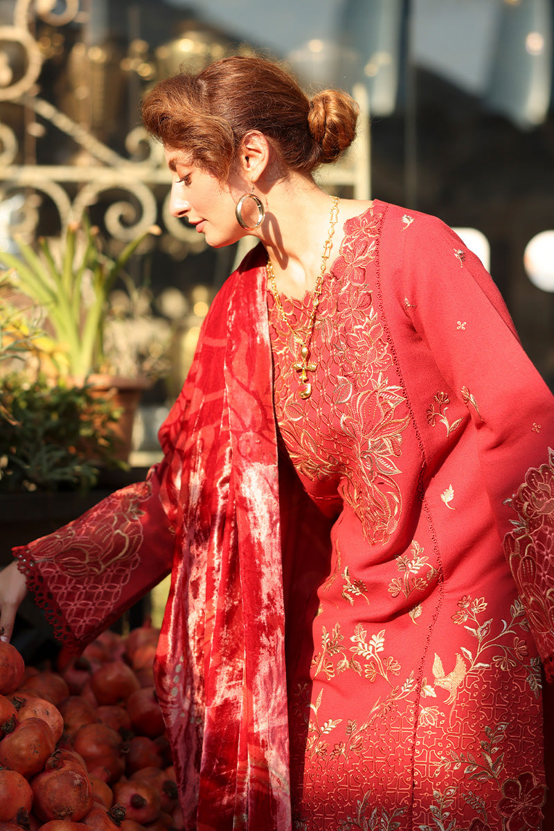 Cold Brew – authentic Pakistani dress from the Rangrasiya Carnation Luxury Shawl Edit collection for women in the UK.